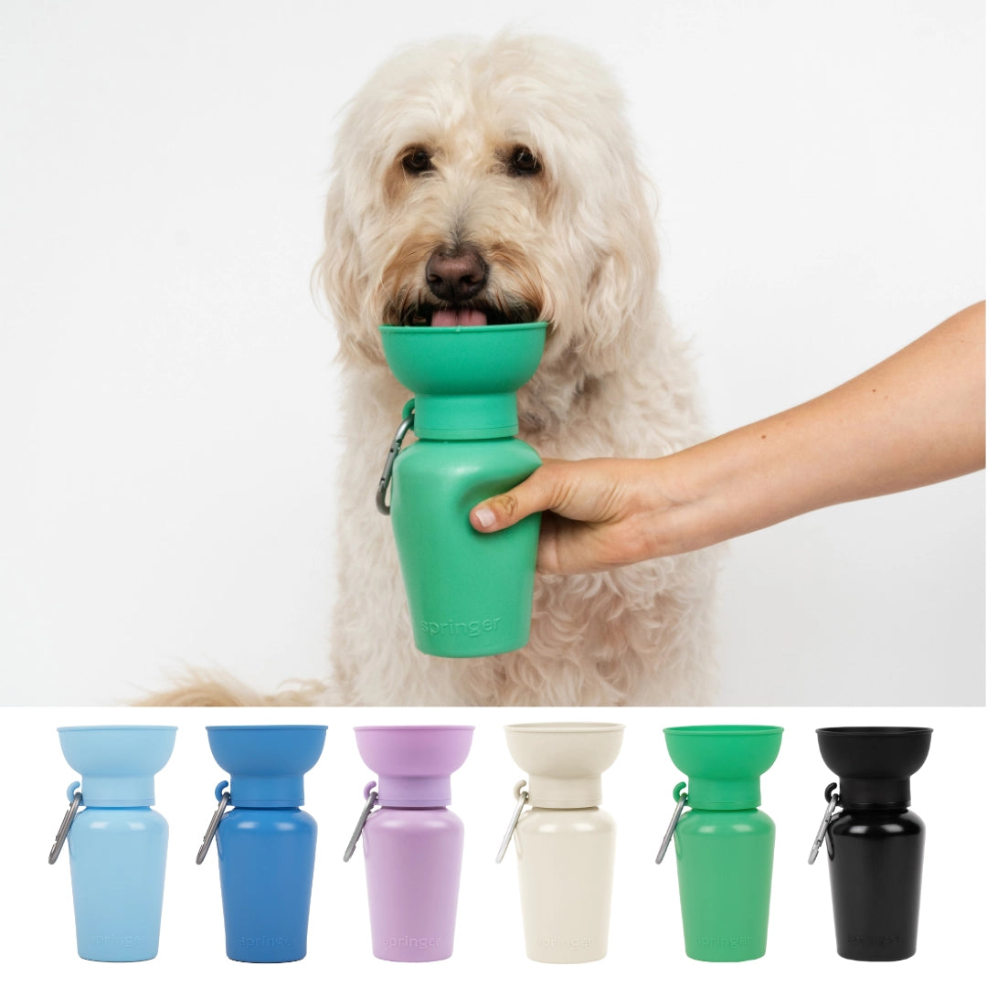 Bouteille d'eau Flip - SPRINGLAND PETS
