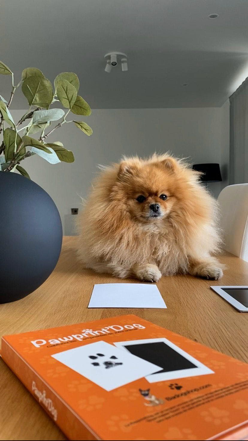 Pawprint - BADOGSHOP