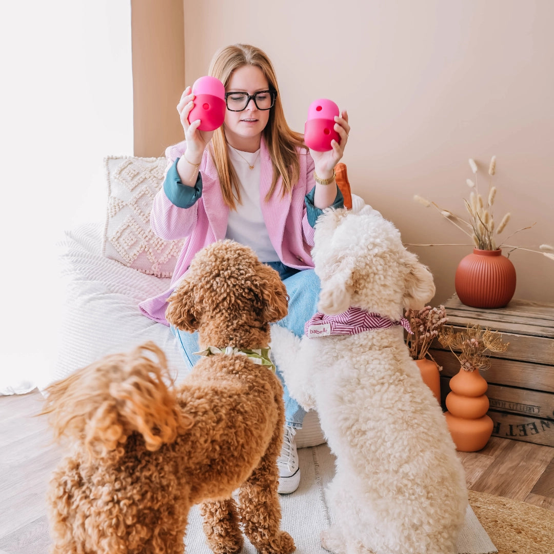 Distributeur de friandises Fun Feeder - BABELLE FOR DOGS