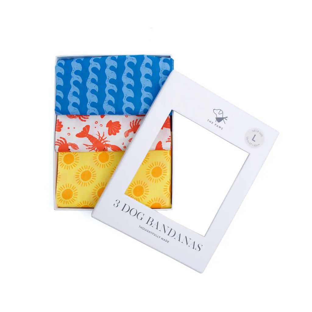Lot de trois bandanas d'été - THE PAWS