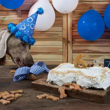 Gâteau en boîte-Kit de gâteau d'anniversaire à faire soi-même- COOKA'S COOKIES