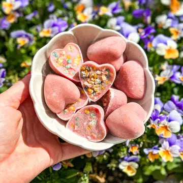 Mélange pour glace à la vraie viande pour chats et chiens - COOKA'S COOKIES