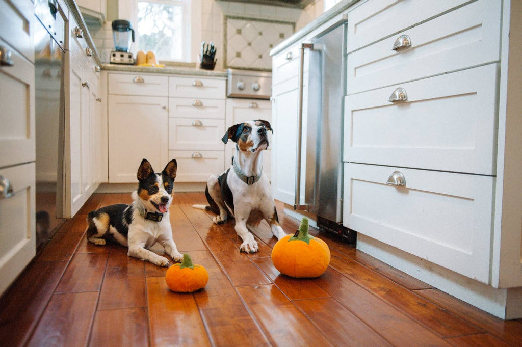 Pumpkin Plush Dog Toy - PLAY