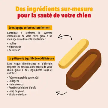 Pâtisseries Le Moelleux - Energie & vitalité - DELAMOUR
