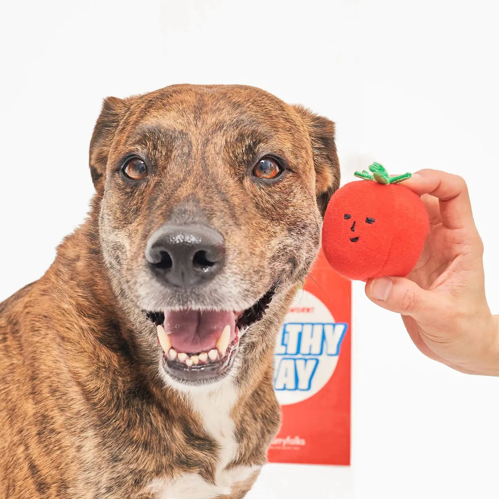 Jouet tomates cerise - THE FURRY FOLKS