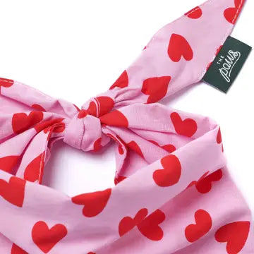 Bandana Love Song - THE PAWS