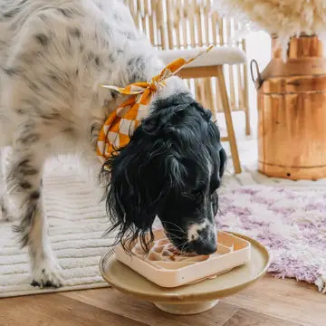 Tapis de léchage Prisme - BABELLE FOR DOGS
