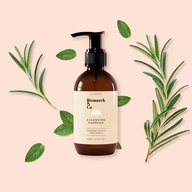 Grooming kit for a perfect coat - BISMARCK &amp; CO