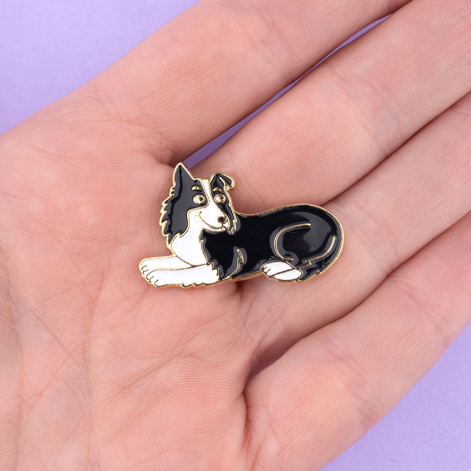 Pin's Border Collie - COUCOU SUZETTE