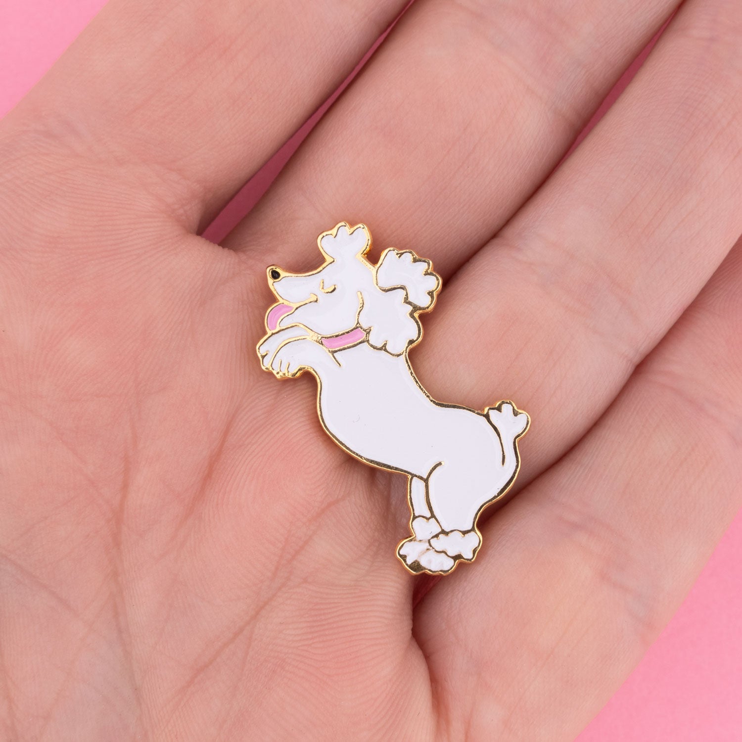 Pin's Caniche - COUCOU SUZETTE