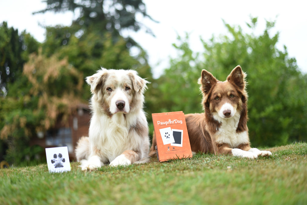 Pawprint - BADOGSHOP