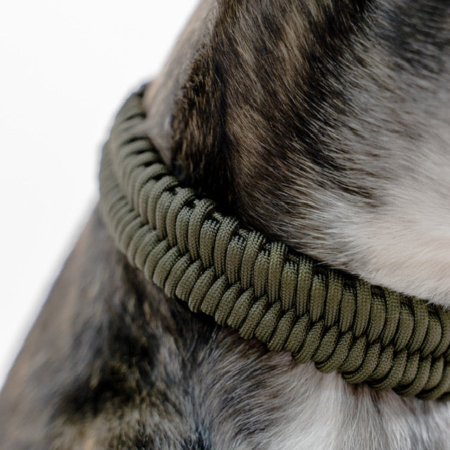 Collier New Jupiter vert encre - LAMBWOLF COLLECTIVE