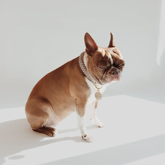 Collier New Jupiter rose sourdine - LAMBWOLF COLLECTIVE