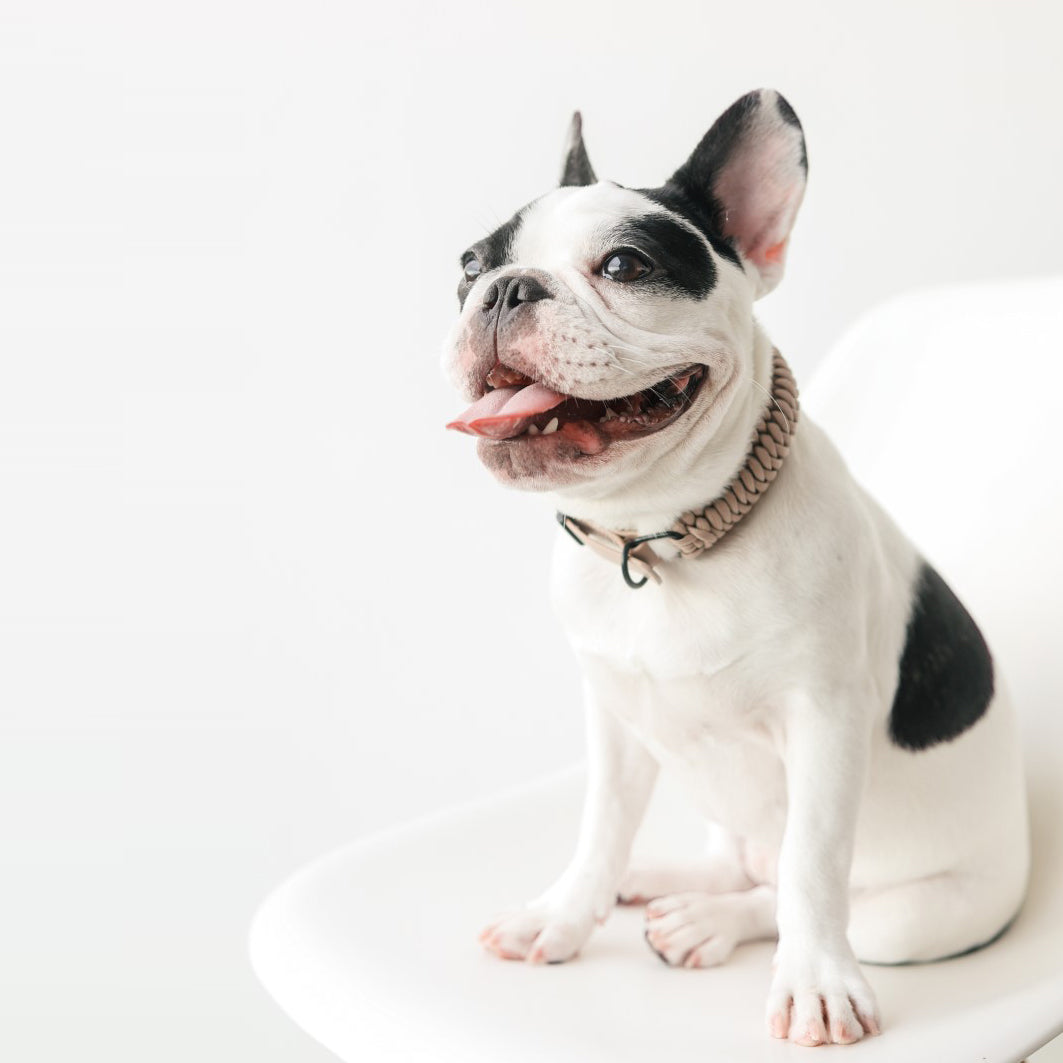 Collier New Jupiter rose sourdine - LAMBWOLF COLLECTIVE