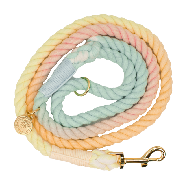 Laisse en corde - Multicolore - PATA PAWS
