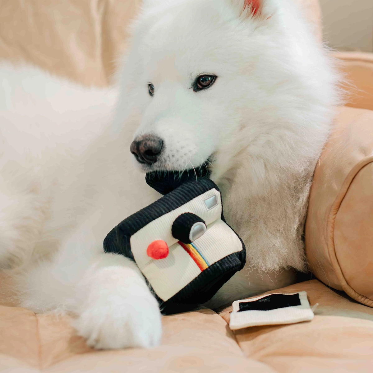 Jouet Polaroïd - LAMBWOLF COLLECTIVE