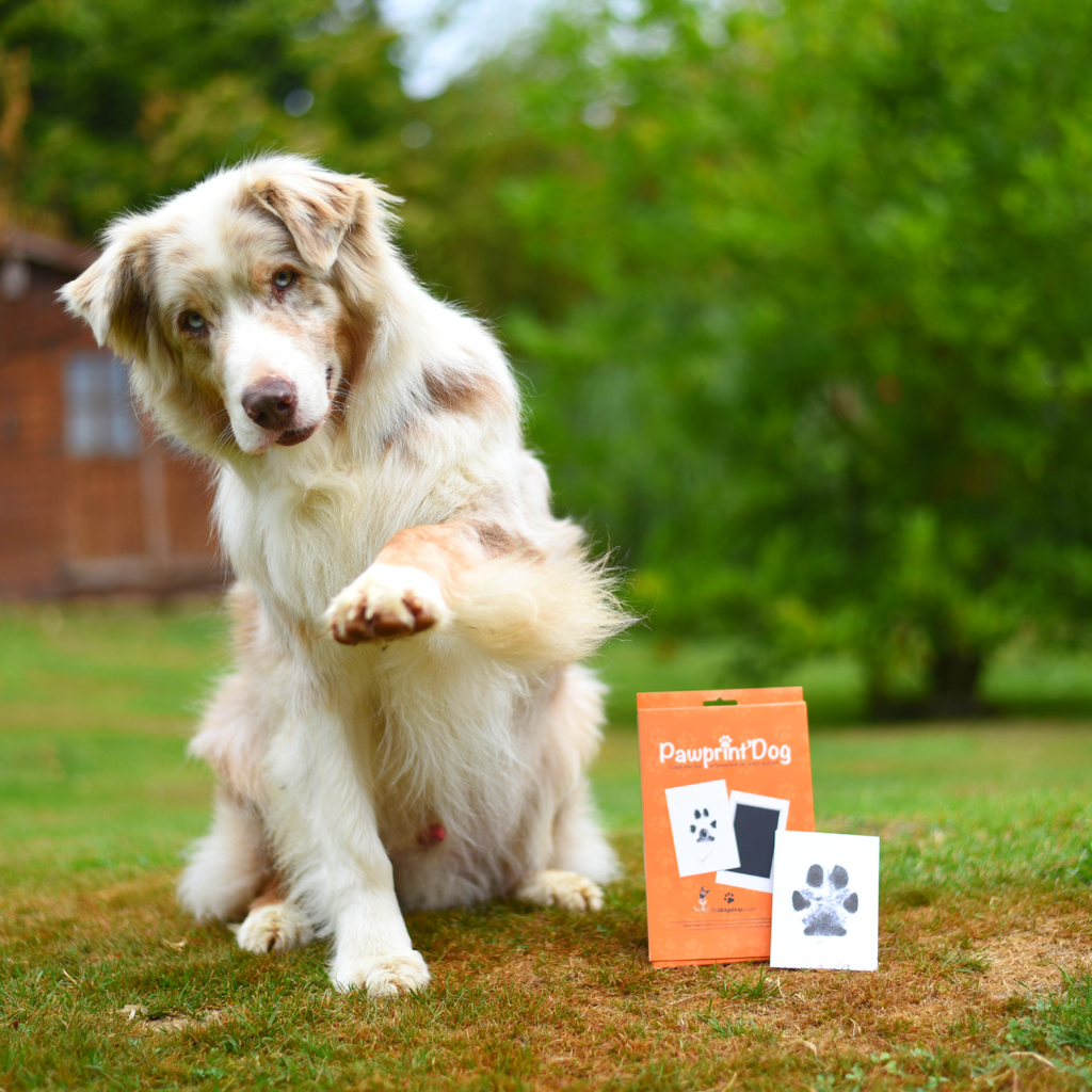 Pawprint - BADOGSHOP