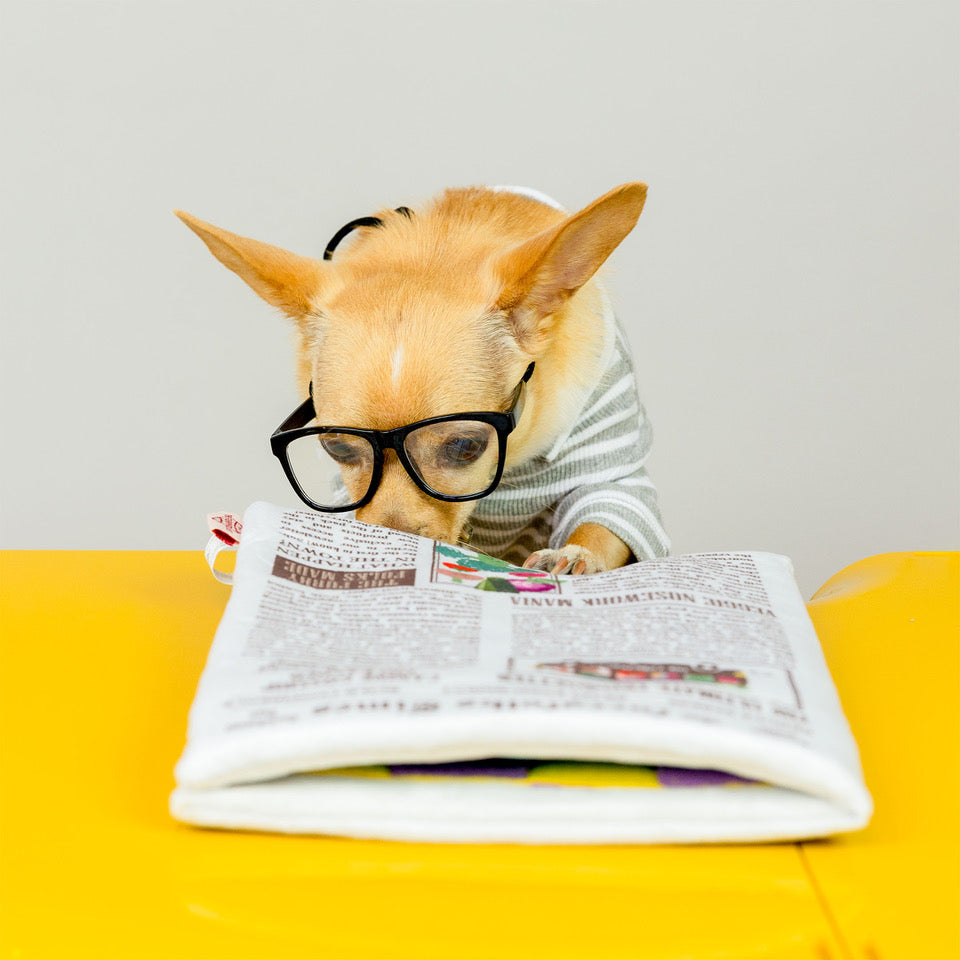 Jouet journal - THE FURRY FOLKS