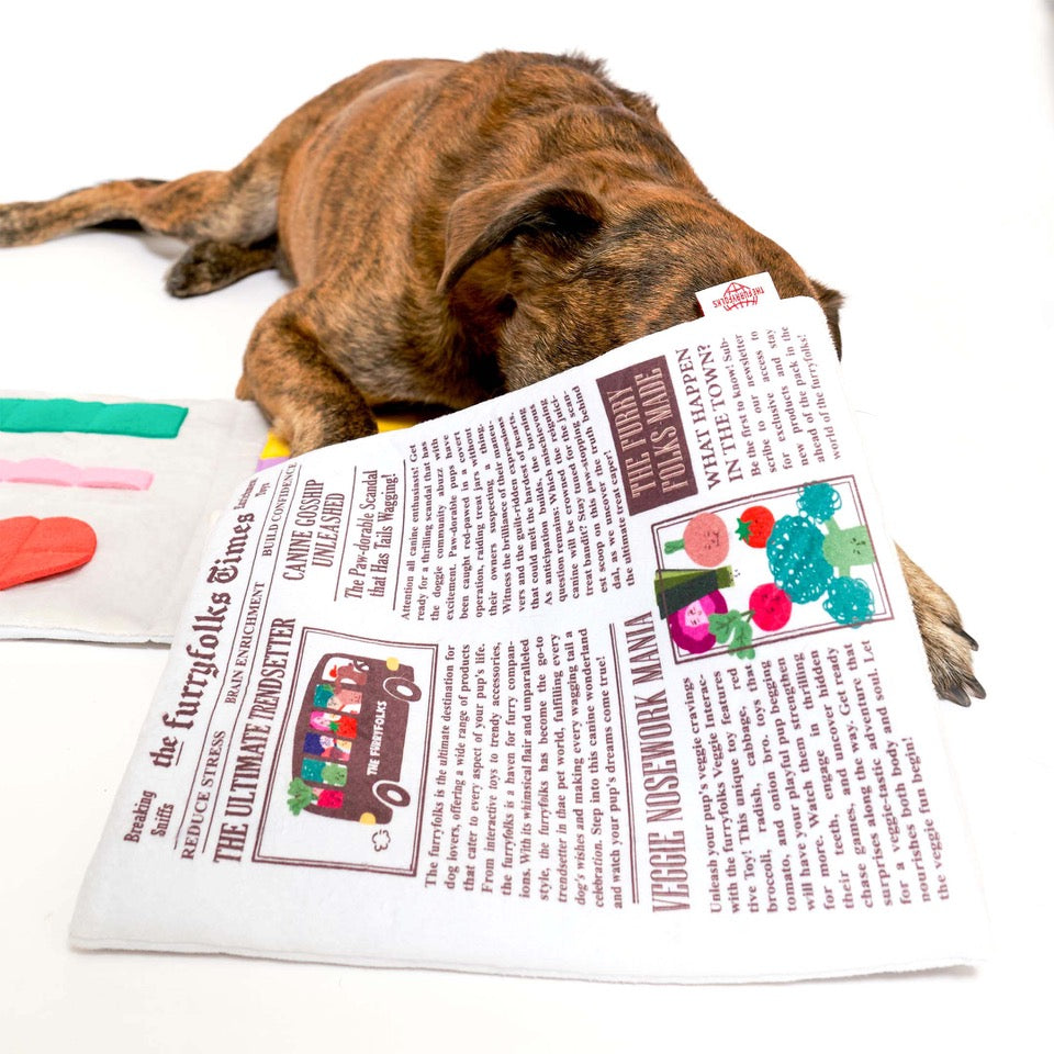 Jouet journal - THE FURRY FOLKS