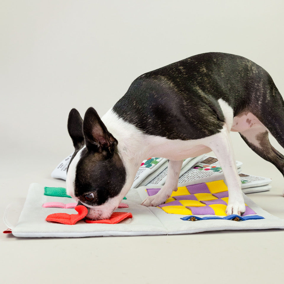 Jouet journal - THE FURRY FOLKS