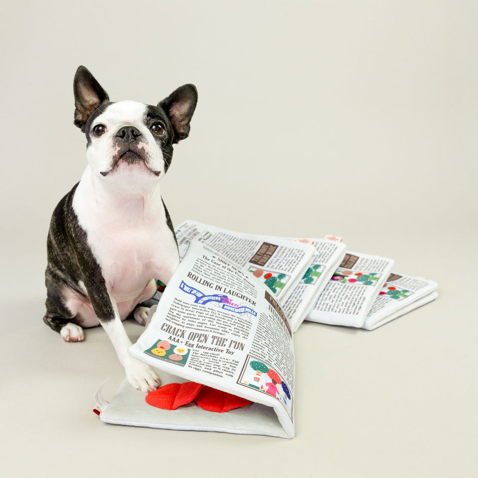 Jouet journal - THE FURRY FOLKS