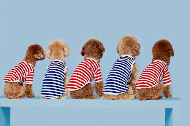 David t-shirt - THE PAINTER'S WIFE