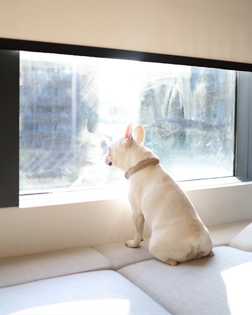 Collier New Jupiter rose sourdine - LAMBWOLF COLLECTIVE