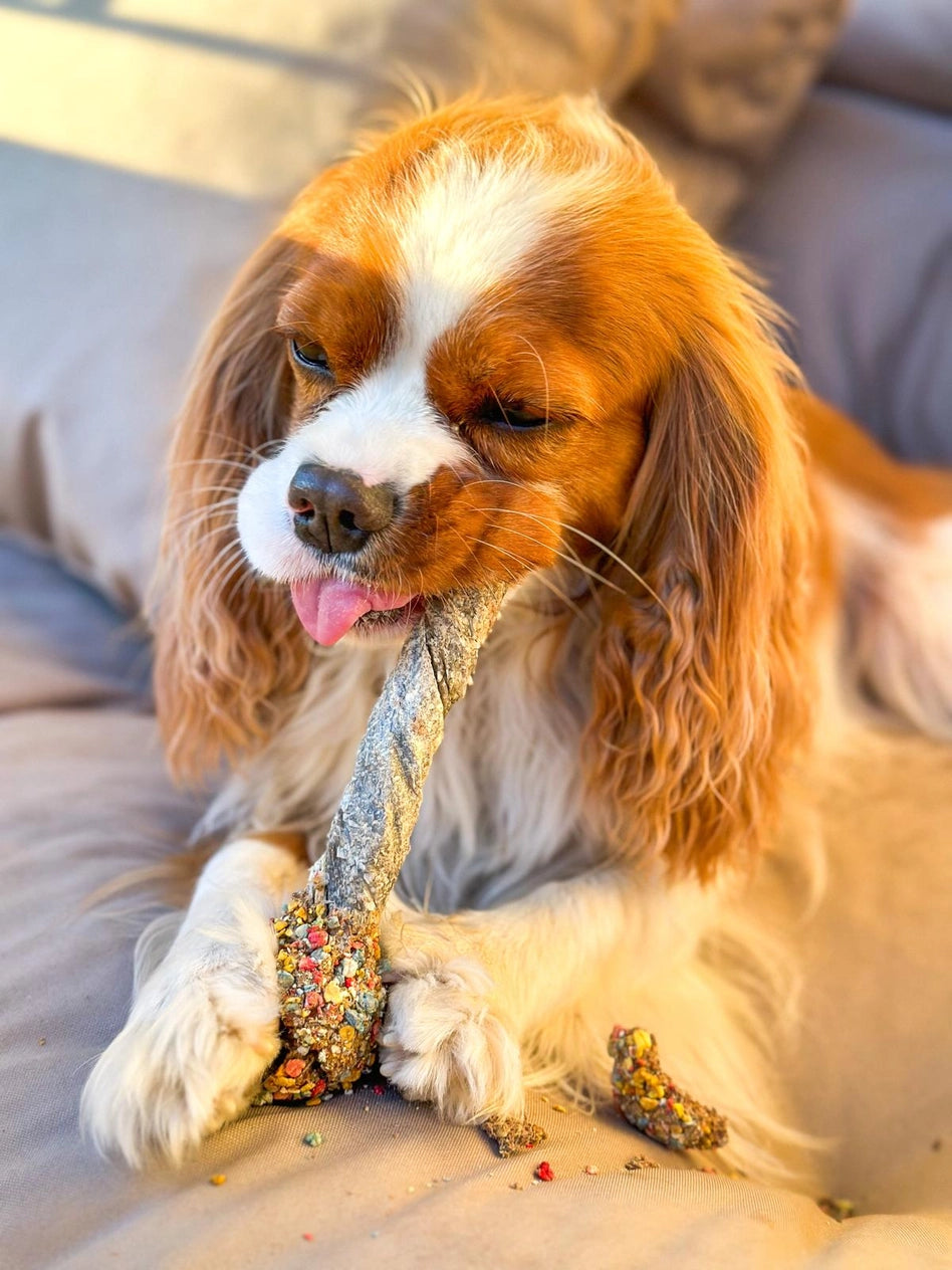 Friandise Lollipop - COOKA'S COOKIES