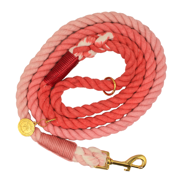 Laisse en corde - Rouge - PATA PAWS