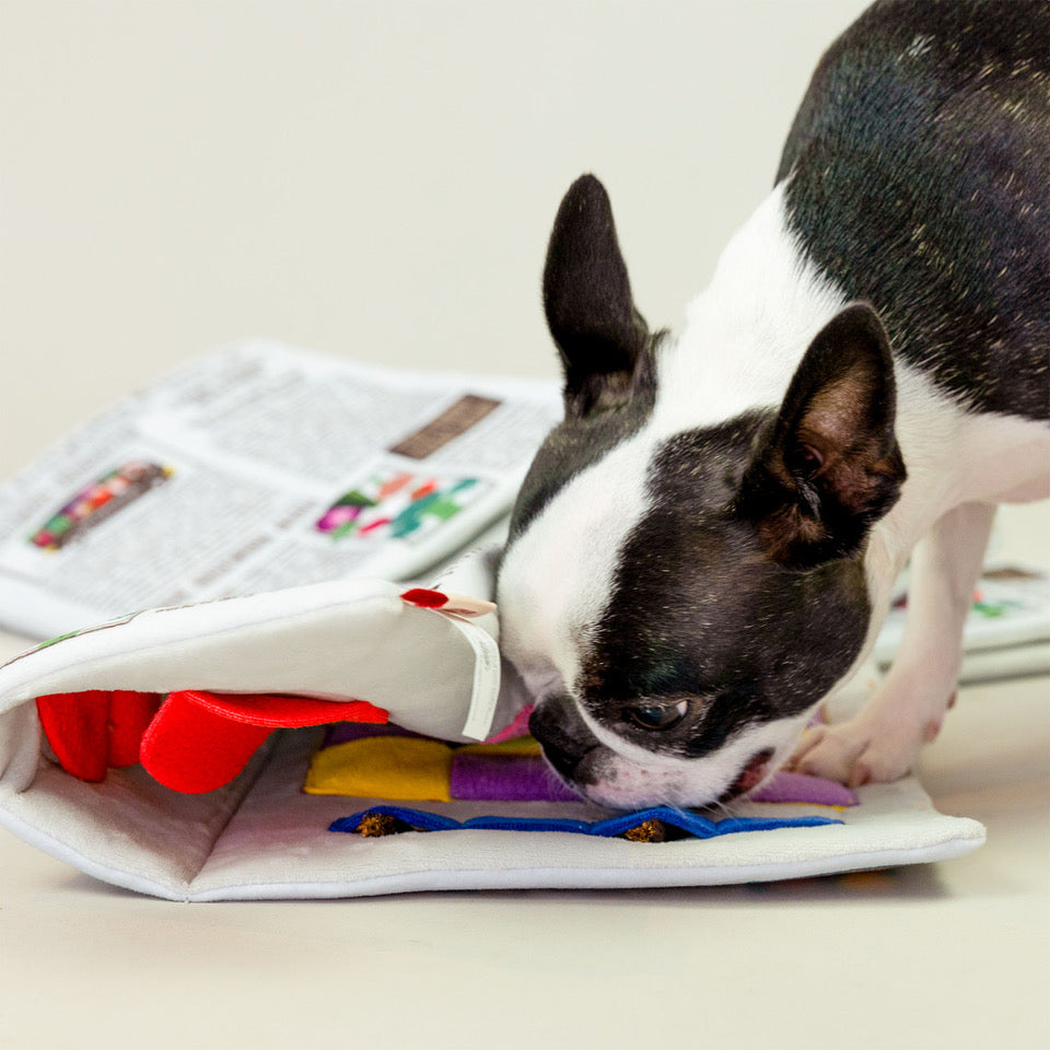 Jouet journal - THE FURRY FOLKS