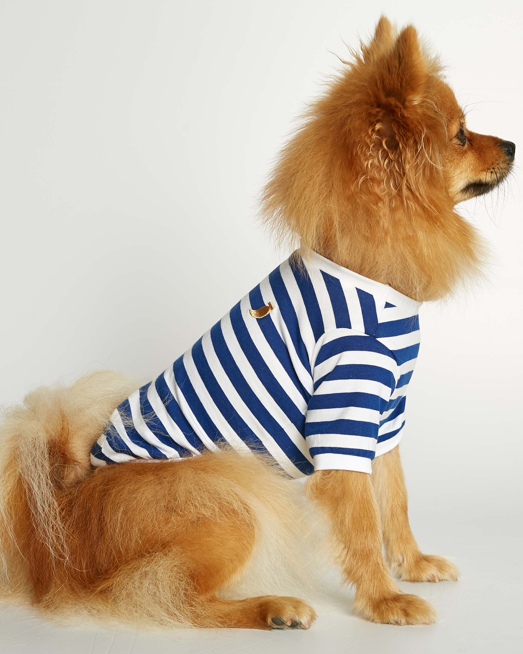 David t-shirt - THE PAINTER'S WIFE