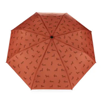 Parapluie teckel - BALVI
