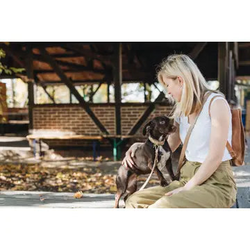 Collier en cuir Fir Latte - BAND & ROLL