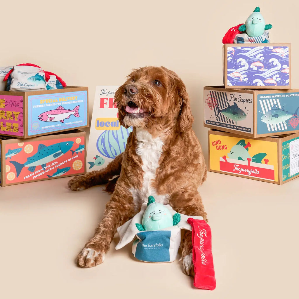 Jouet Fish Express - THE FURRYFOLKS
