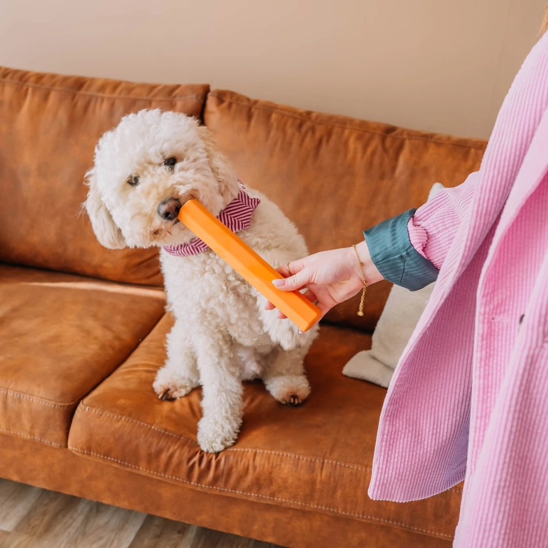 Tube à friandises orange - BABELLE FOR DOGS