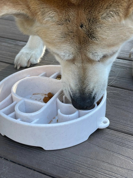 JAVA Enrichment Bowl for Slow Feeding - SODA PUP