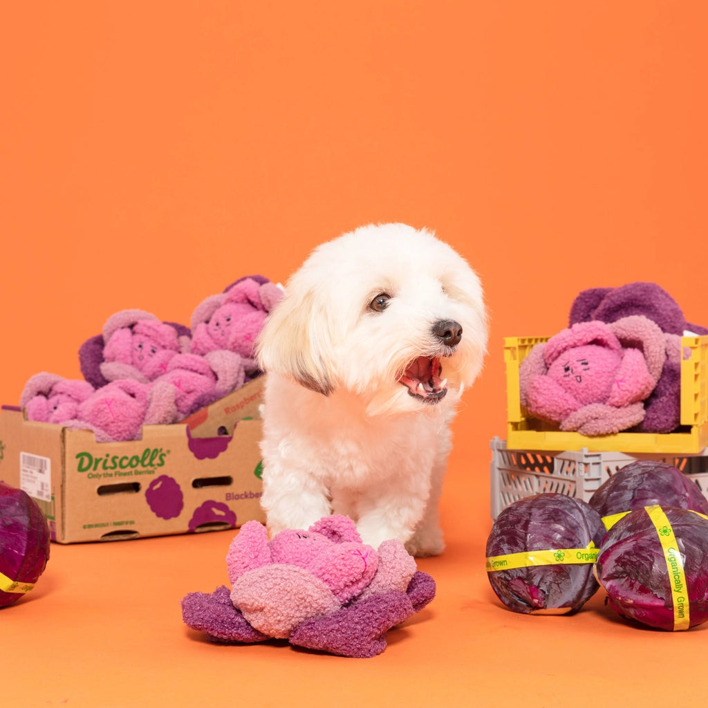 Jouet chou rouge - THE FURRY FOLKS