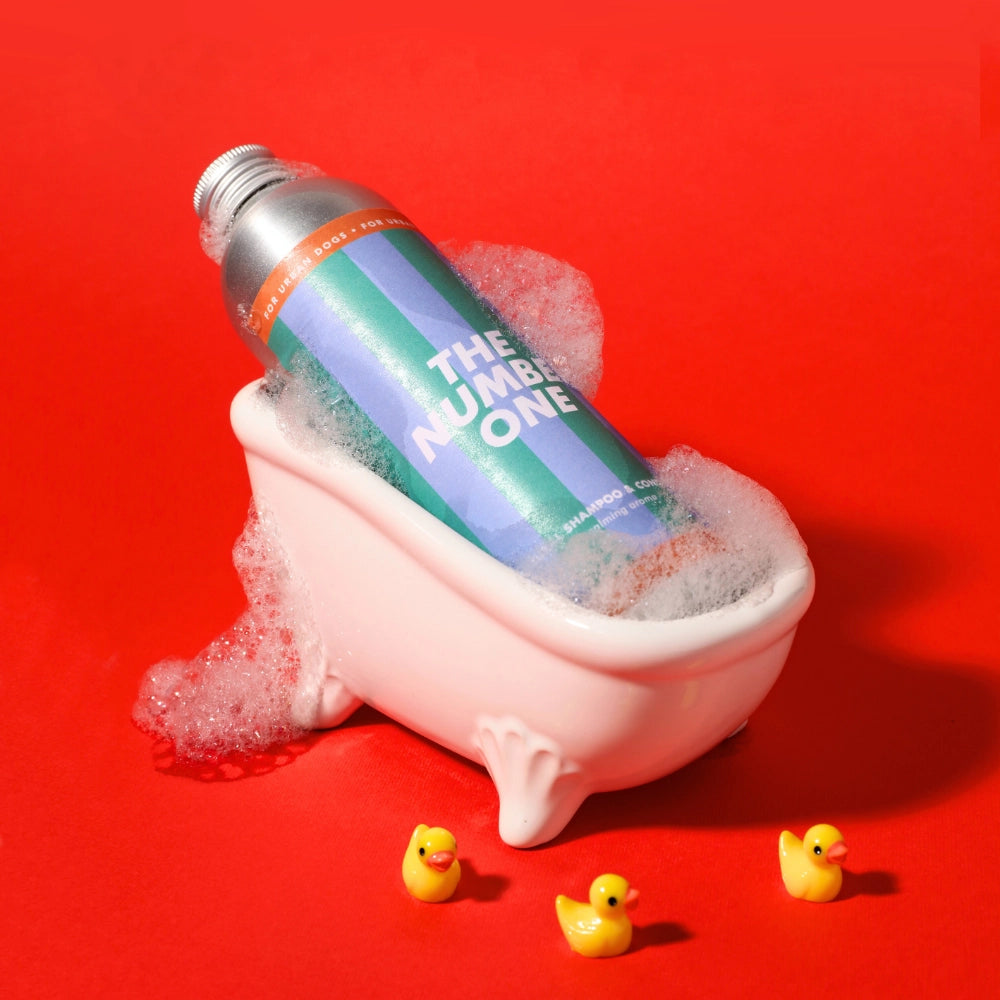 The Number One Shampoo and Conditioner - JAMPY