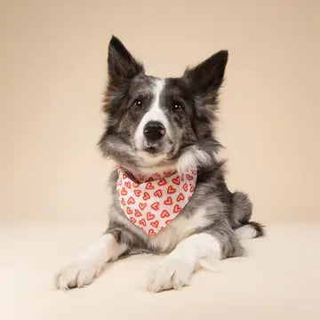 Bandana Amoureux - THE PAWS