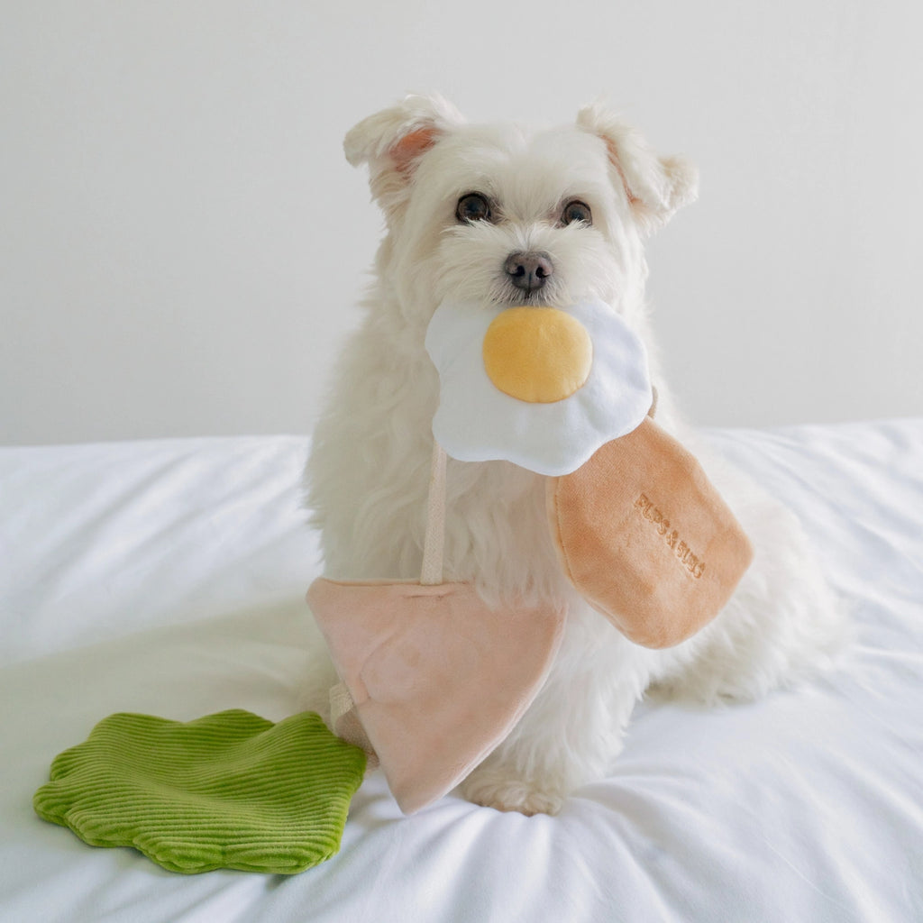 Jouet Pita - PUP'S & BUBS