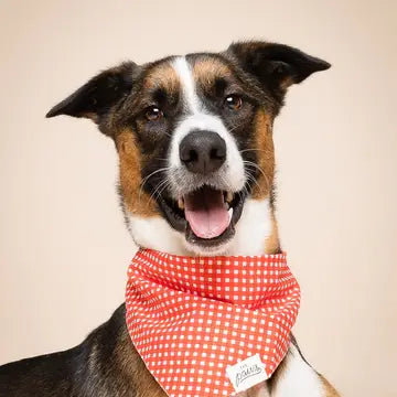 Bandana Vichy rouge - THE PAWS