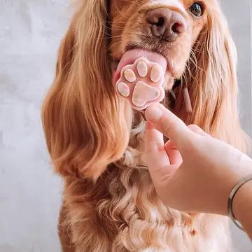 Mélange pour glace à la vraie viande pour chats et chiens - COOKA'S COOKIES