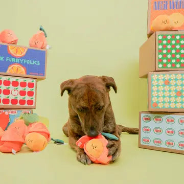 Jouet orange - THE FURRY FOLKS