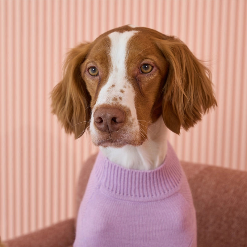 Pull Banana Mania - PUPPY GALLERY