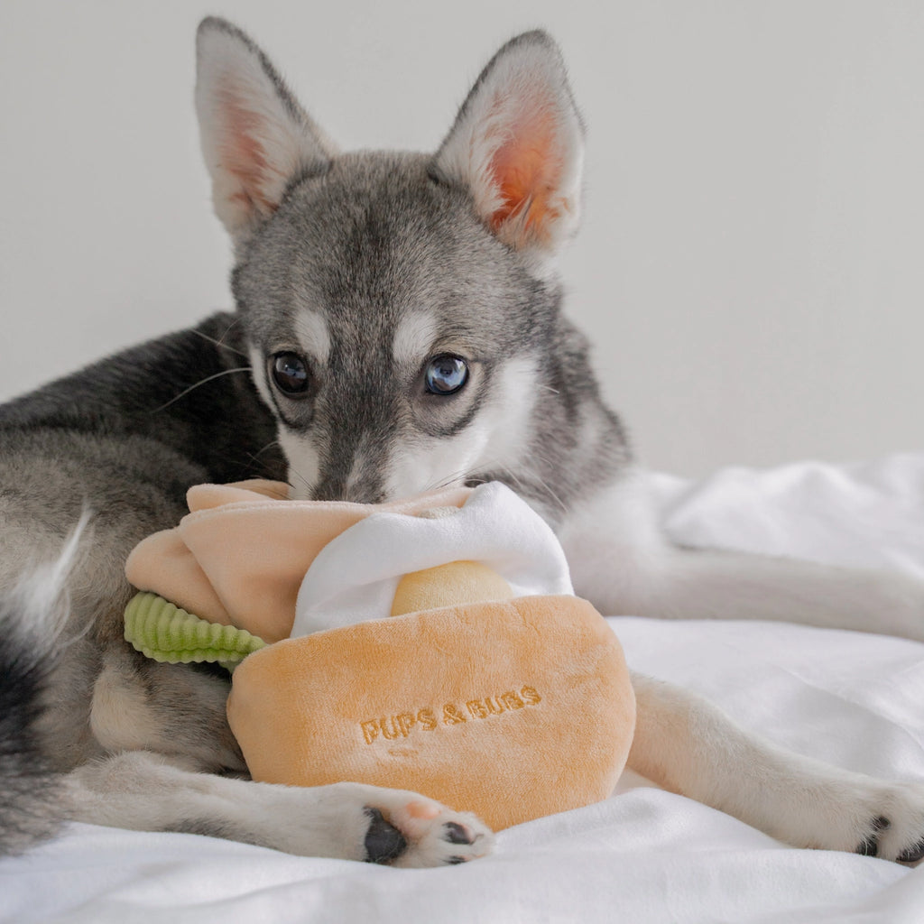 Jouet Pita - PUP'S & BUBS