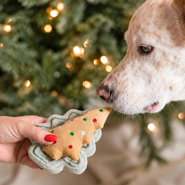 Jouet de Noël Biscuit et son emporte-pièce - MODERNBEAST
