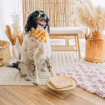 Tapis de léchage Prisme - BABELLE FOR DOGS