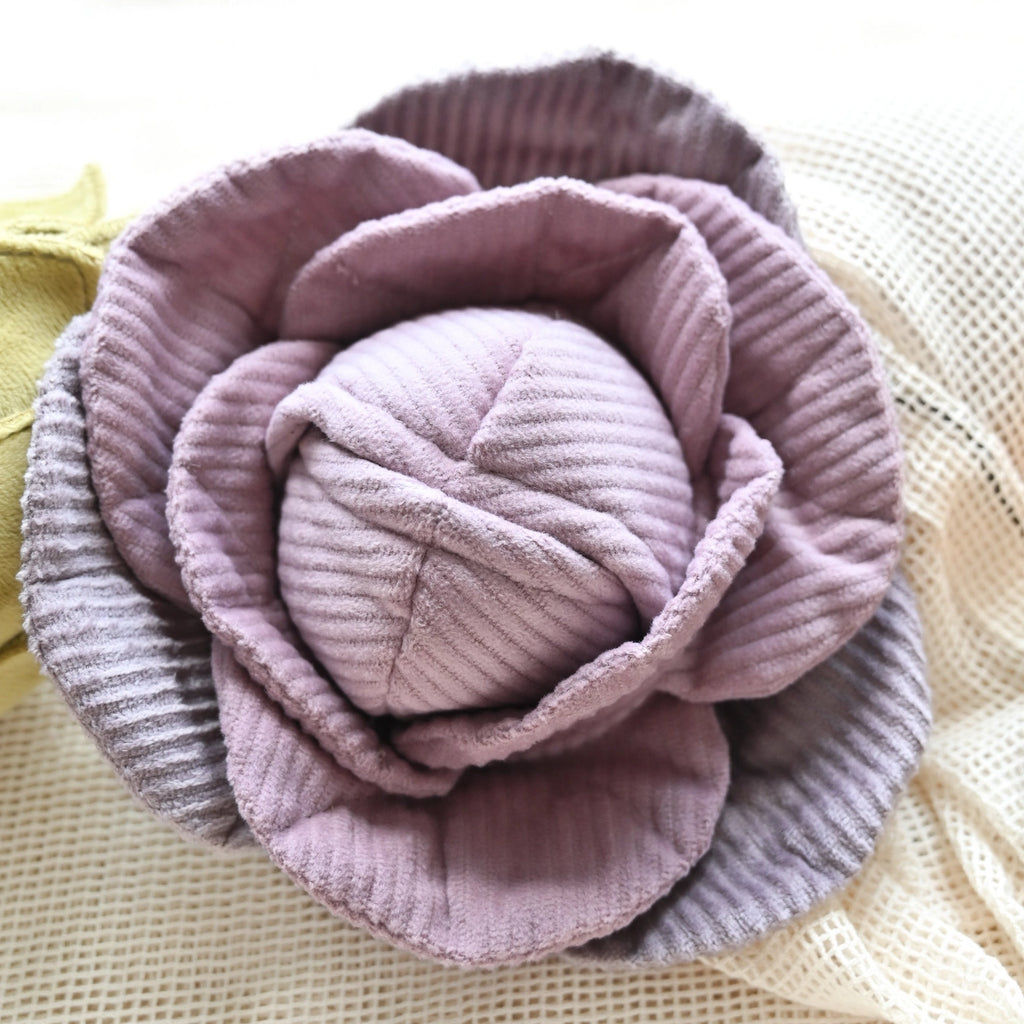 Pop-up Red Cabbage Toy - LAMBWOLF COLLECTIVE