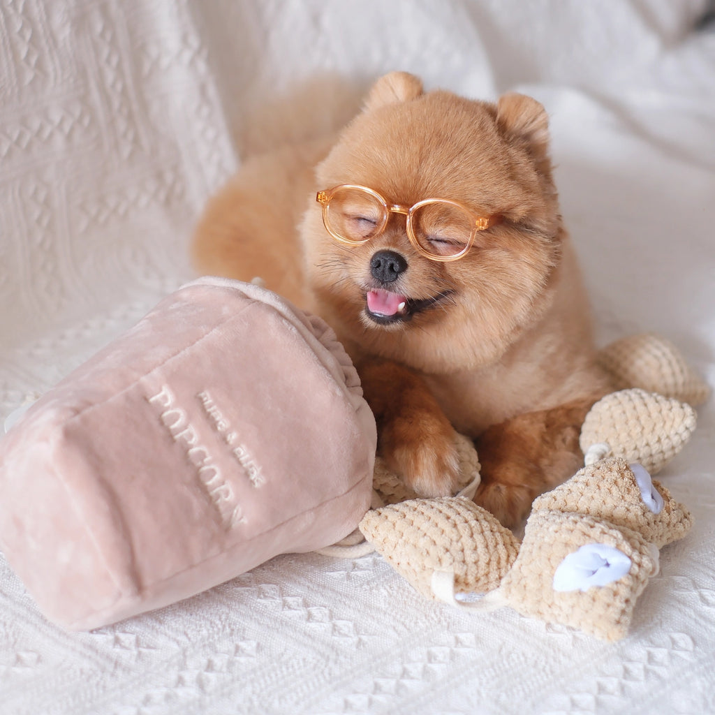 Jouet Pop Corn - PUP'S & BUBS