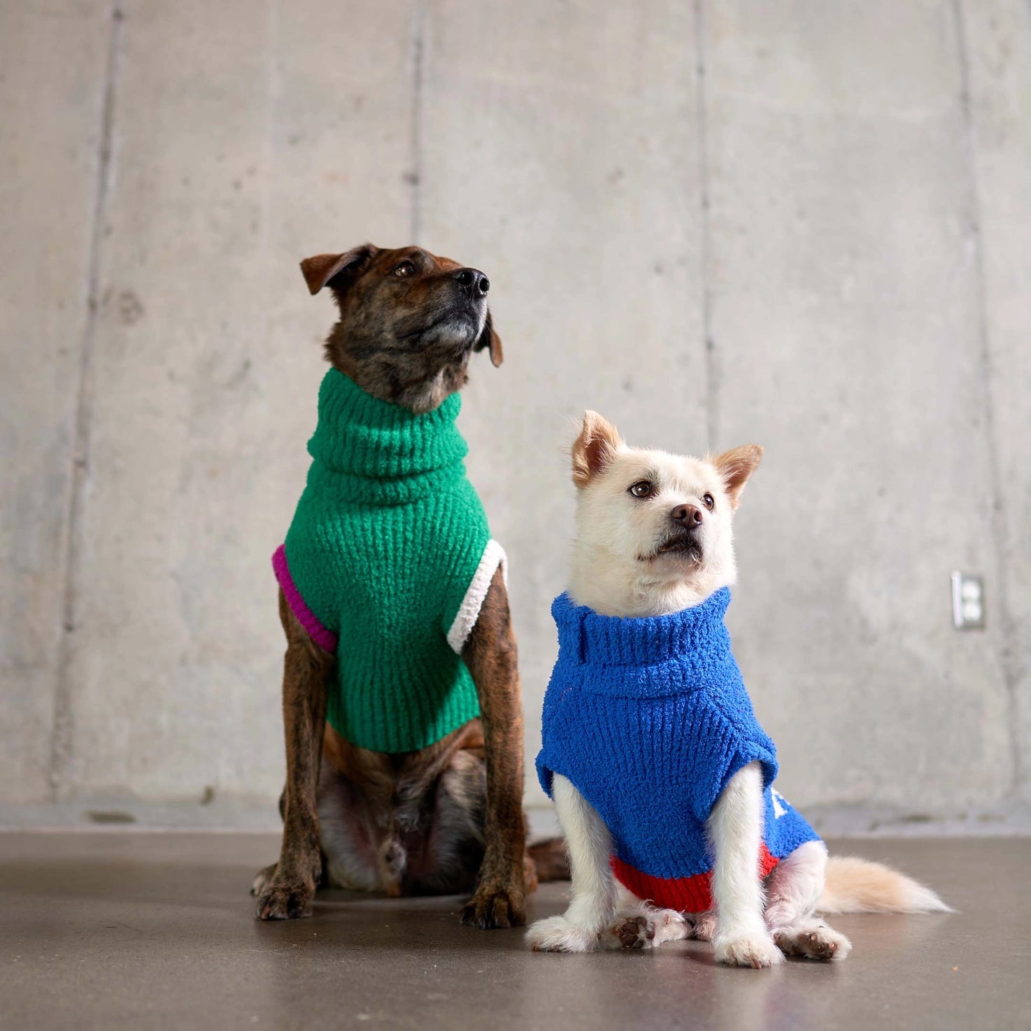 Pull Uniquely You - THE FURRY FOLKS
